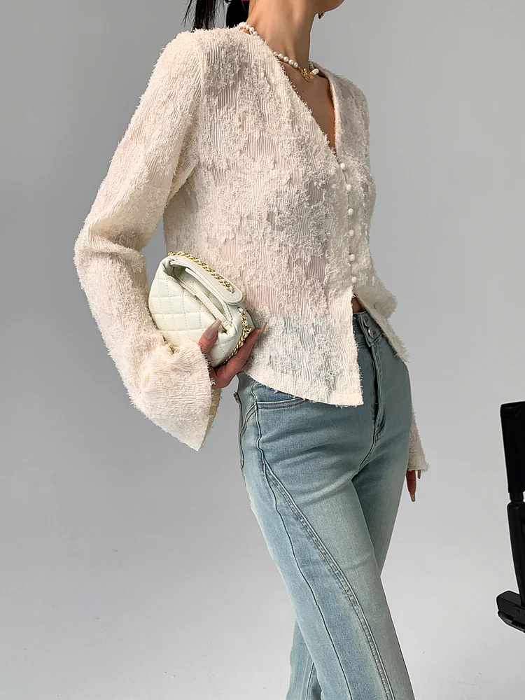 Semi-Sheer V-Neck Ruffle Long Sleeve Blouse - Takermore