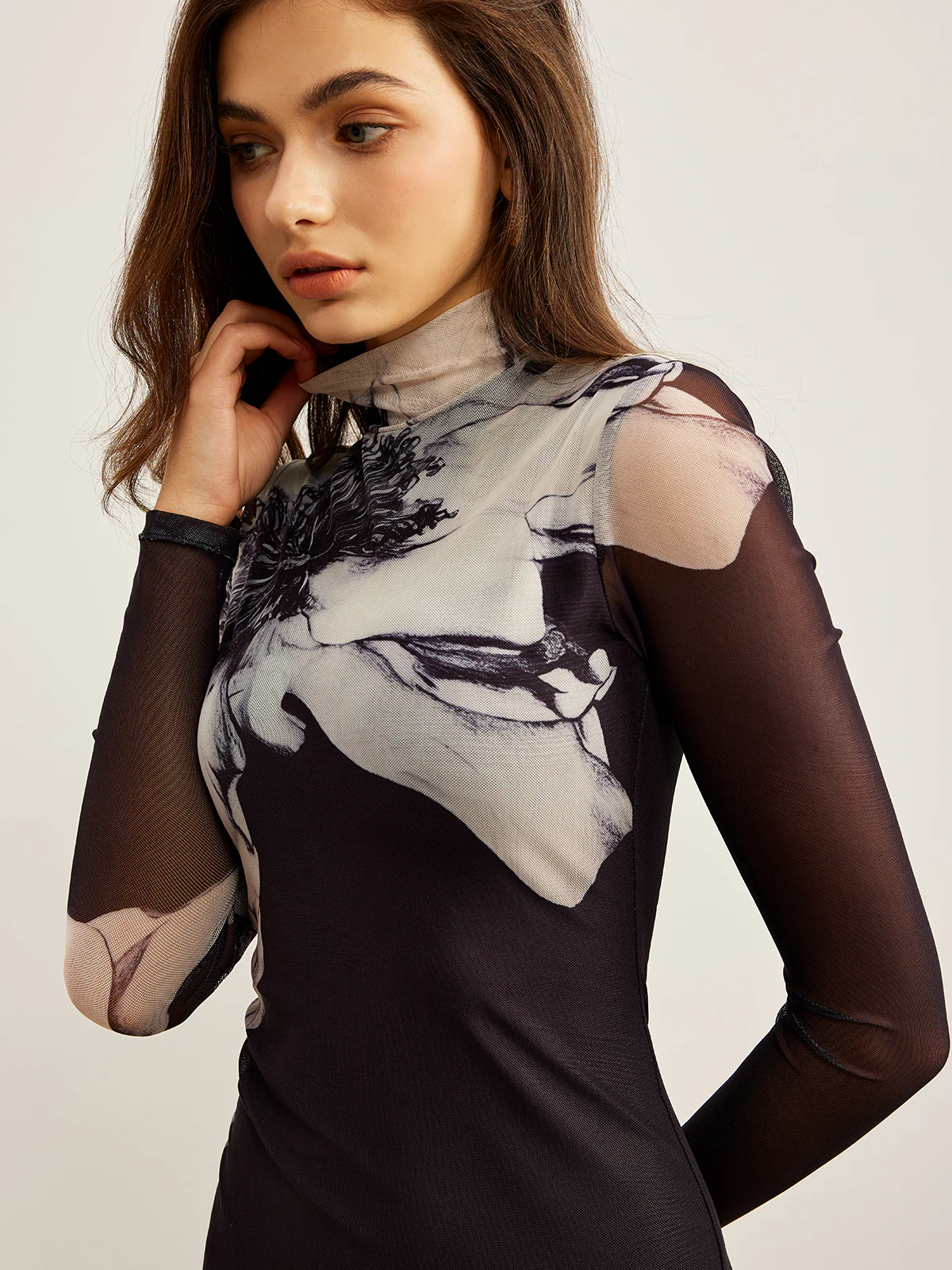 Mock Neck Printed Mesh Dress - Takermore